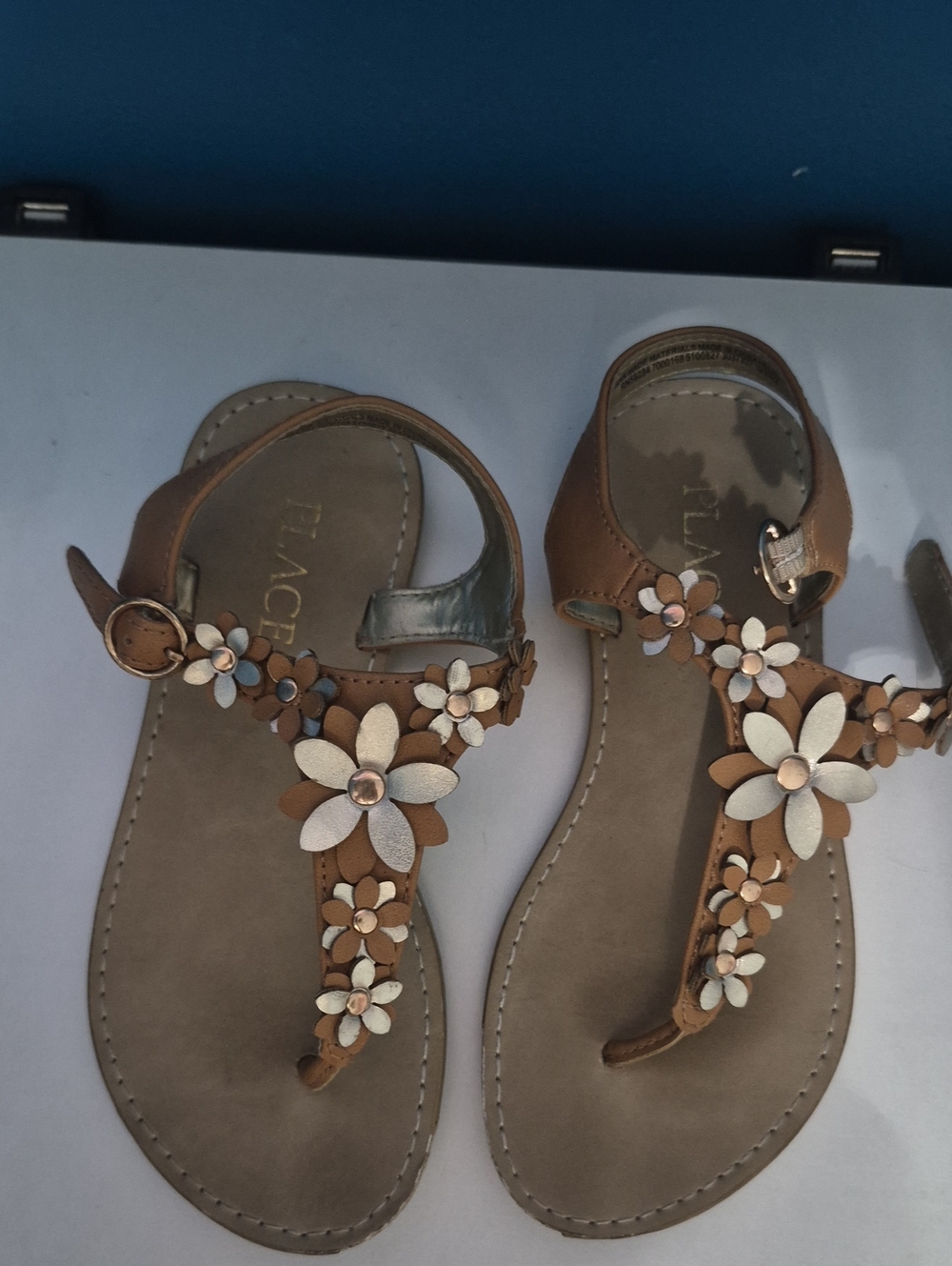Place Brown Sandals with Cream Floral Accents